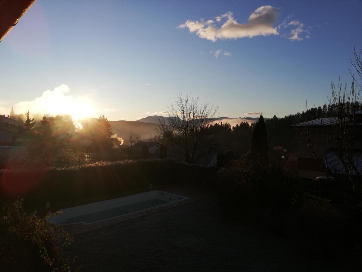 Ferienwohnung Mit Pool In Woerthersee Naehe Dellach  Экстерьер фото